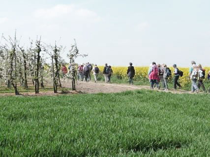 Wandergruppe am Römerkanal 2014